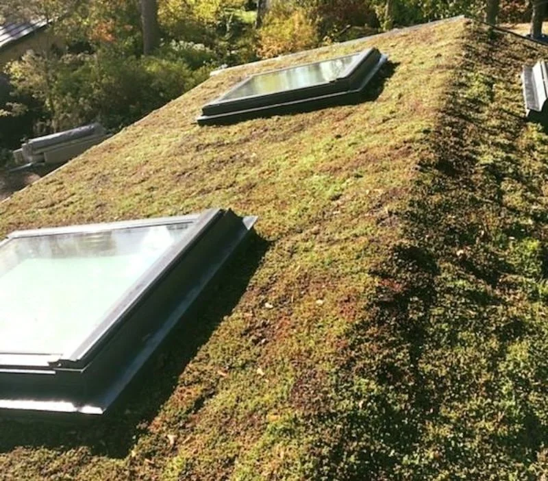 27. Nylaggning av sedumtak pa sommarstuga